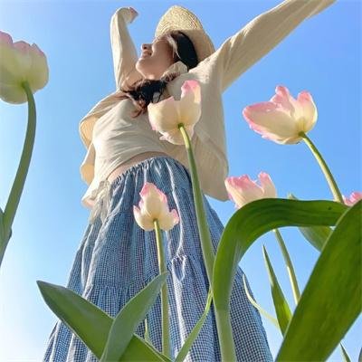 波普先生的企鹅